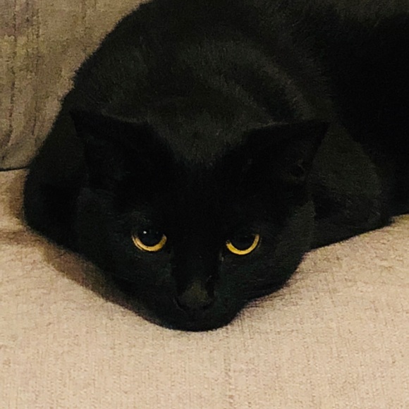 Not for sale❤️🌈💋🦄🦄🎁💖😍 - Picture 15 of 16